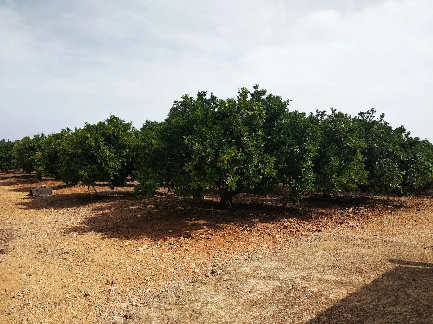 Rural land for sale in Pueblo, imagen 36