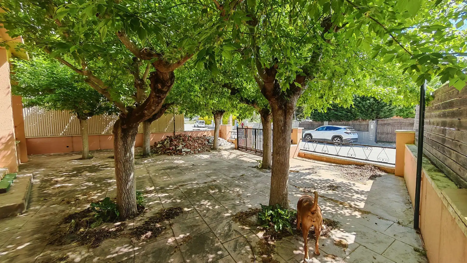 Exterior view of Buildings for sale in Sils