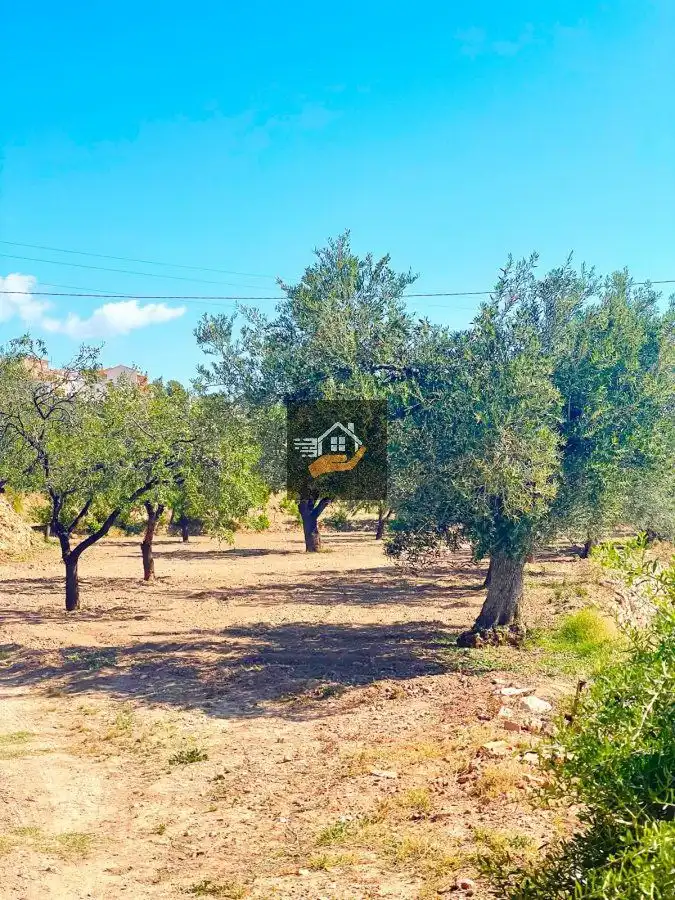 Casa rústica en venda a Vélez-Rubio, imagen 14