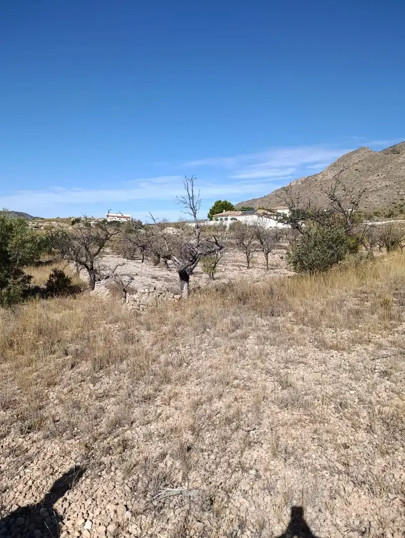 Terreno rustico in vendita a Hondón de las Nieves / El Fondó de les Neus, imagen 29