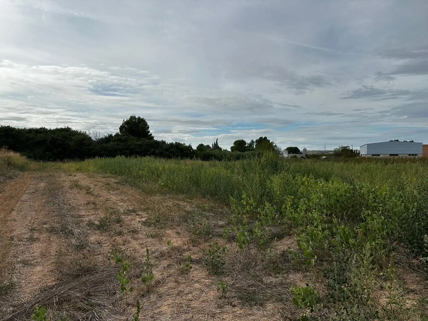 Land for sale in Albatàrrec