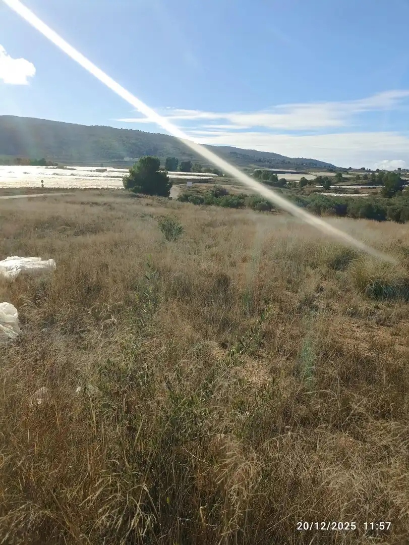 Rustikales Grundstück zum Verkauf in Aledo, imagen 2