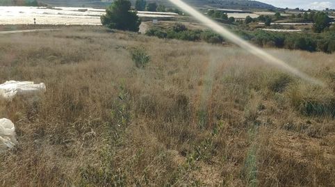 Terreno en Venta en Aledo, immagine 2