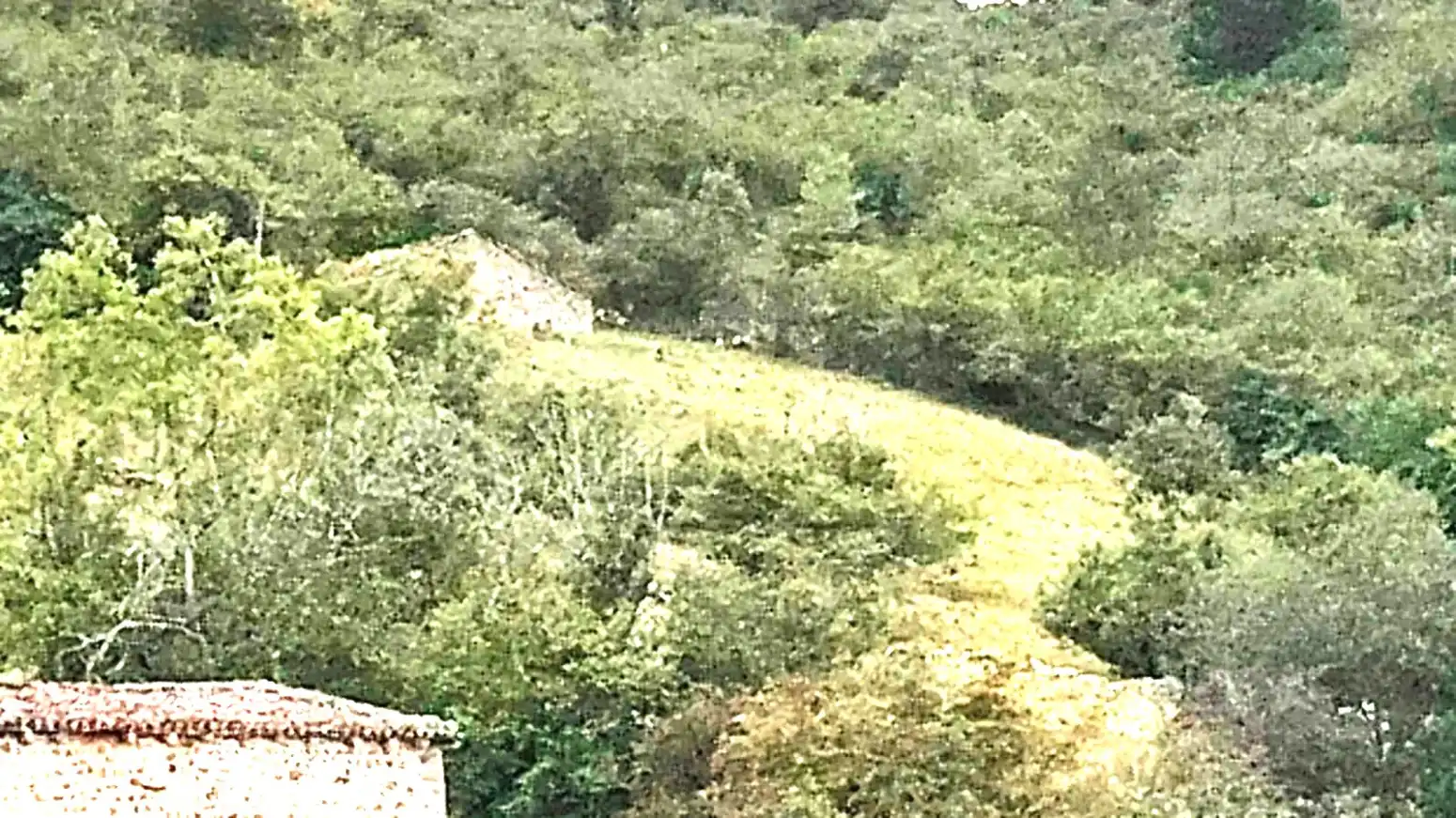 Casa con jardín en venta en San Sebastián de Garabandal - MATAZORRA, imagen 19