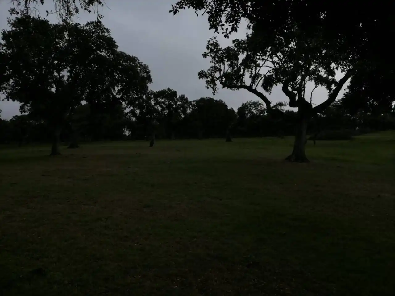 Terreno en venta en Poligono 1, La Alameda de Gardón