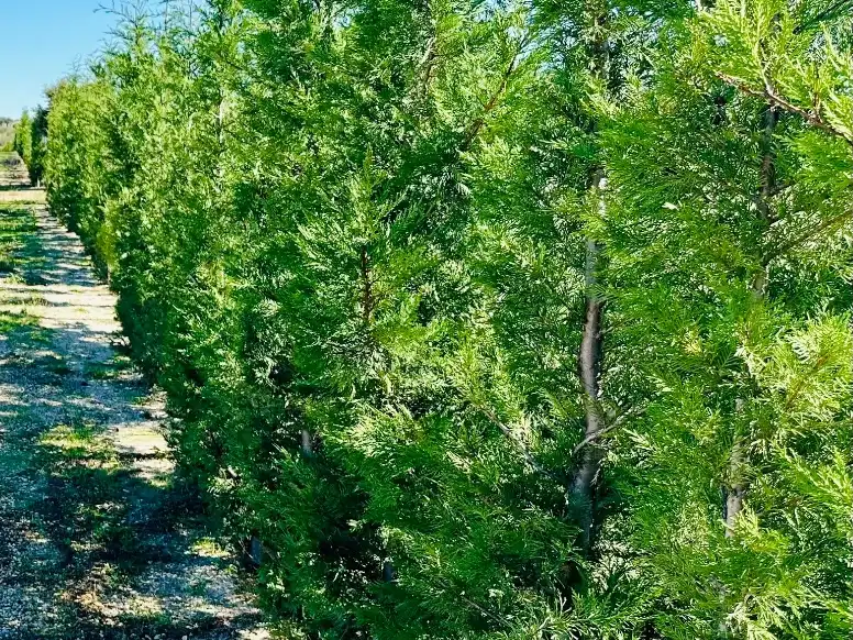 Vista exterior de Terreno en venta en Madrid