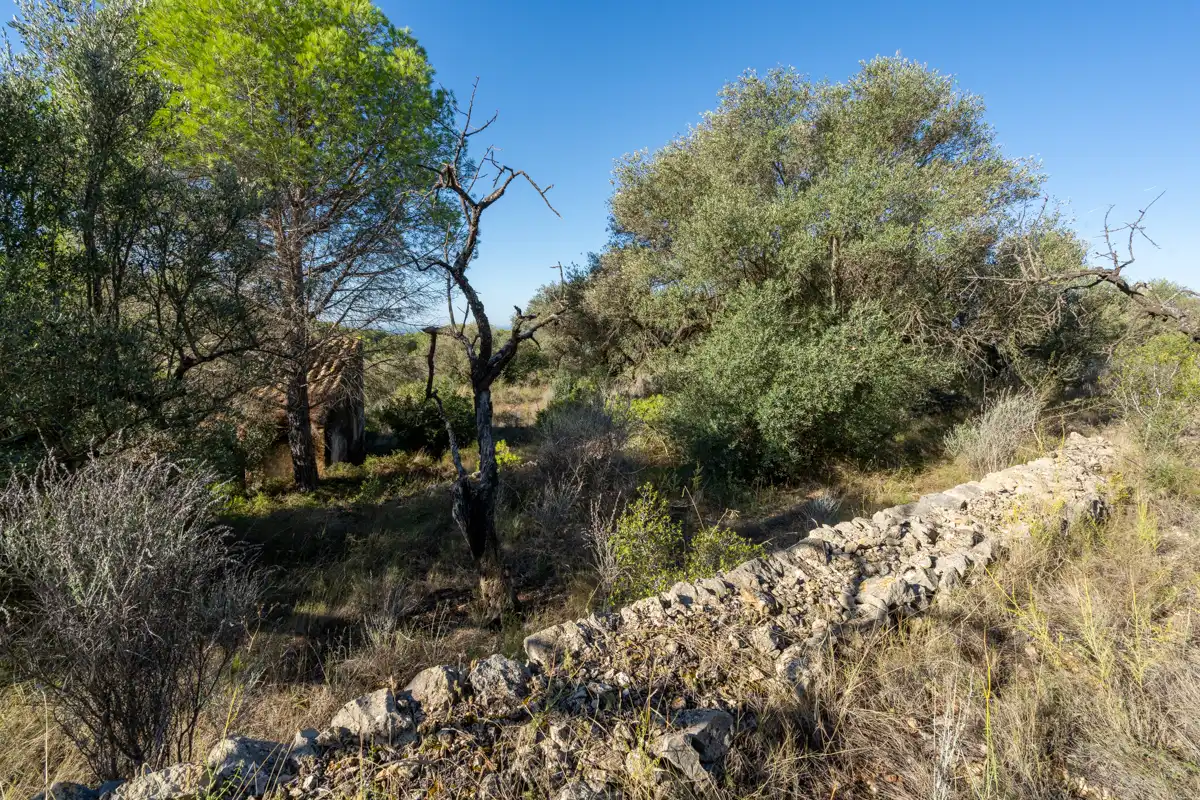 Terreny rústic en venda a Camí de la Potra de Pino 28, imagen 23