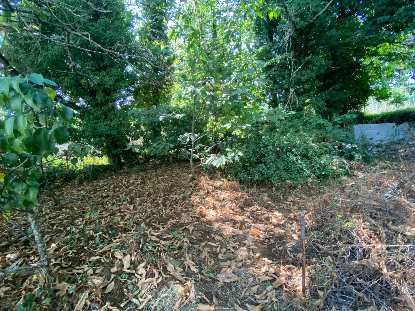 Finca rústica en venta en Bande con Jardín privado