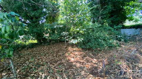 Foto 5 de Finca rústica en venta en N/a, -1, Bande, Ourense