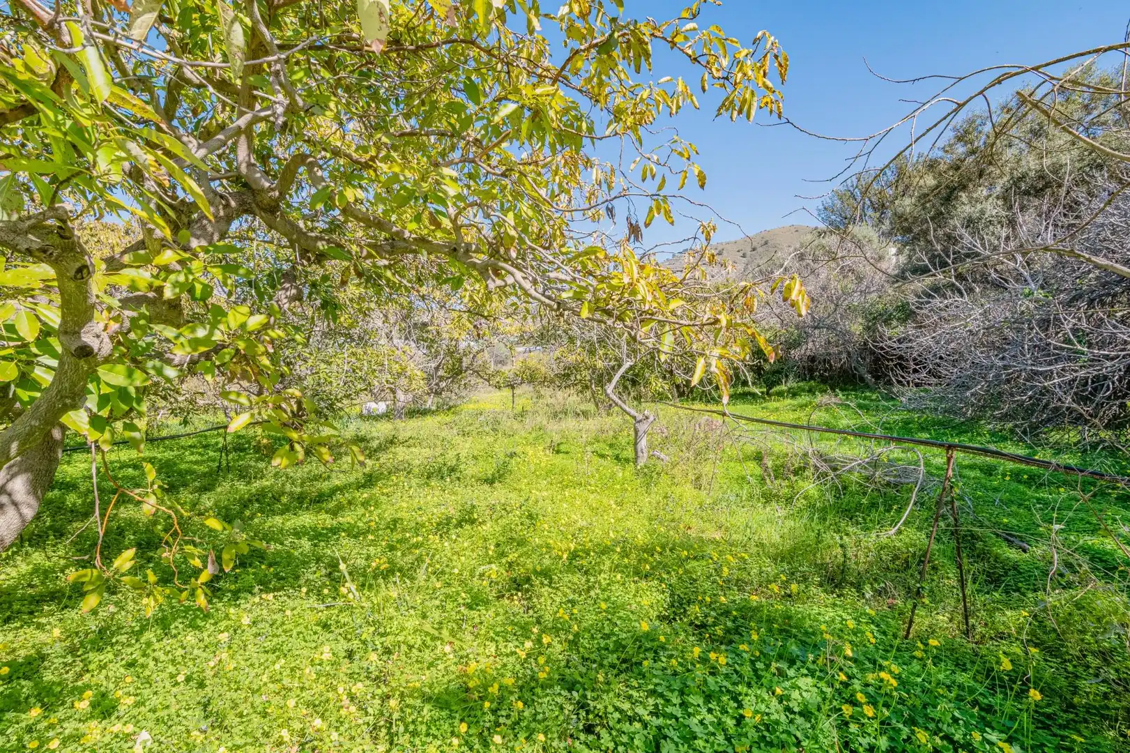 Casa o chalet en venta en Motril con Jardín privado, Terraza y Piscina