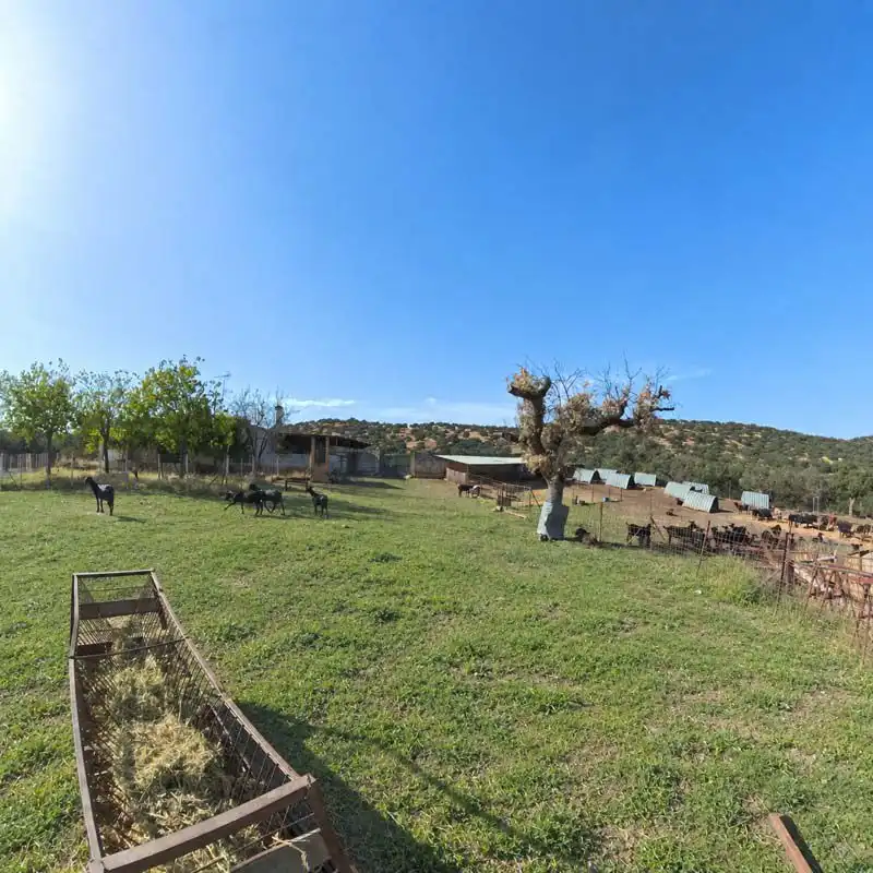 Terreno residenziale in vendita a Santa Olalla del Cala