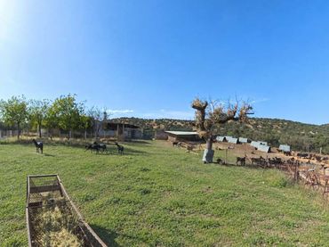 Terreny residencial en venda a Santa Olalla del Cala