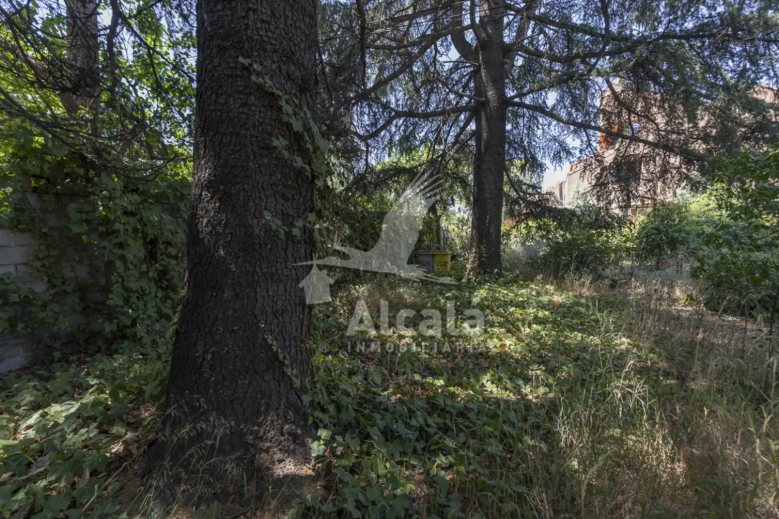 Haus zum Verkauf in Fuencarral - El Pardo, imagen 53