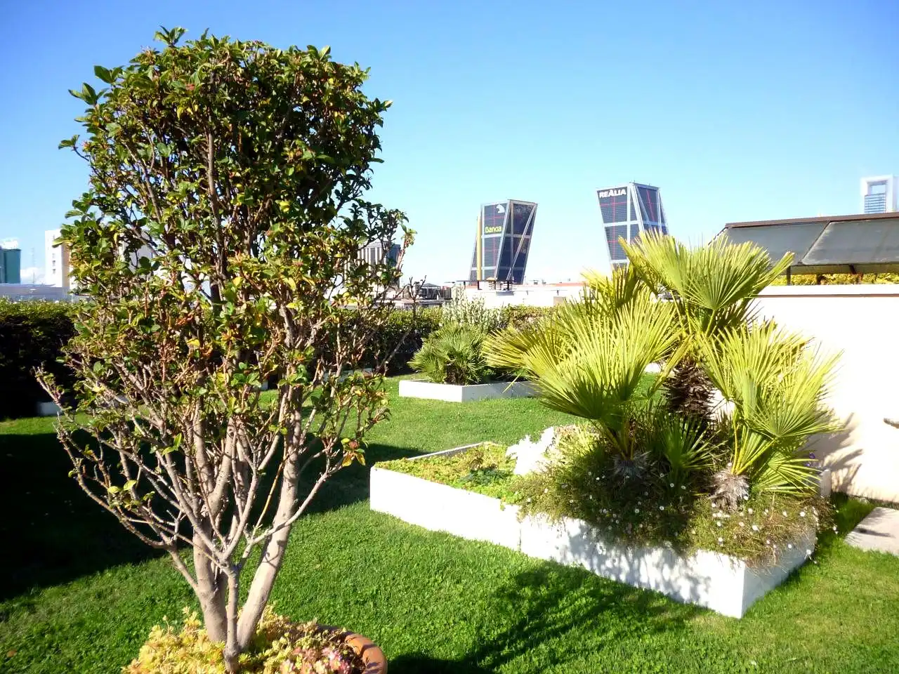 Jardín de Piso de alquiler en Chamartín