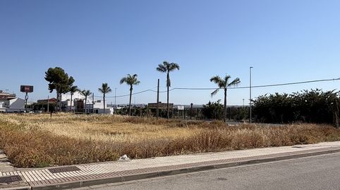 SOLARES DE ESQUINA EN VENTA EN LA LOCALIDAD DE TOCINA (SEVILLA)