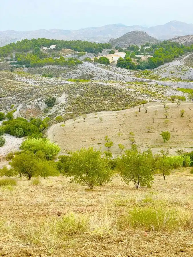 Rural land for sale in Puerto Lumbreras