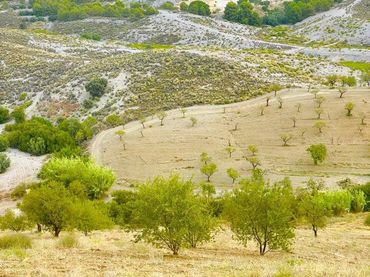 Rustikales Grundstück zum Verkauf in Puerto Lumbreras
