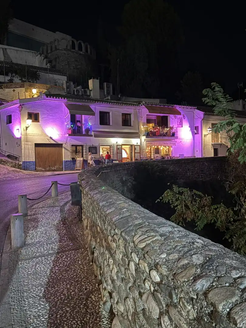 Mixte résidentiel à vendre à Camino del Sacromonte, imagen 11