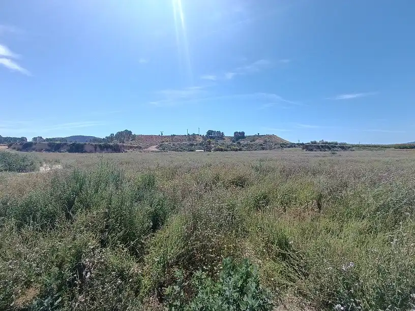 Lands and plots for sale in Mula, imagen 14