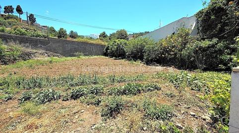 Foto 2 de Finca rústica en venda a La Vega - El Amparo - Cueva del Viento, Santa Cruz de Tenerife