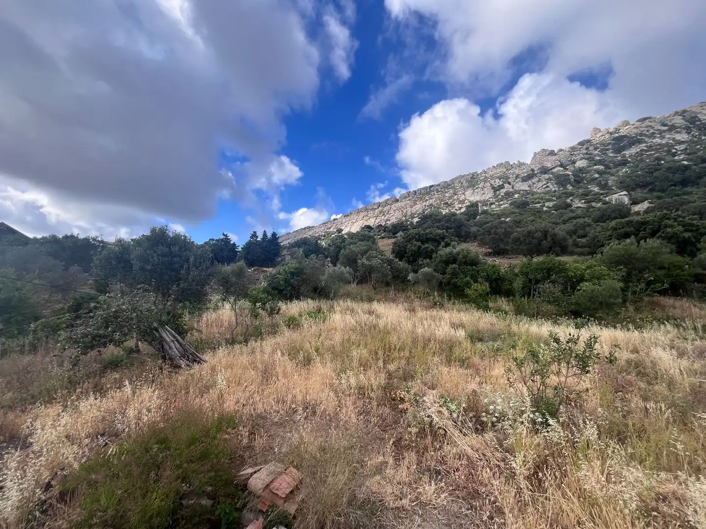 Finca rústica en venta en Tarifa con Jardín privado y Trastero