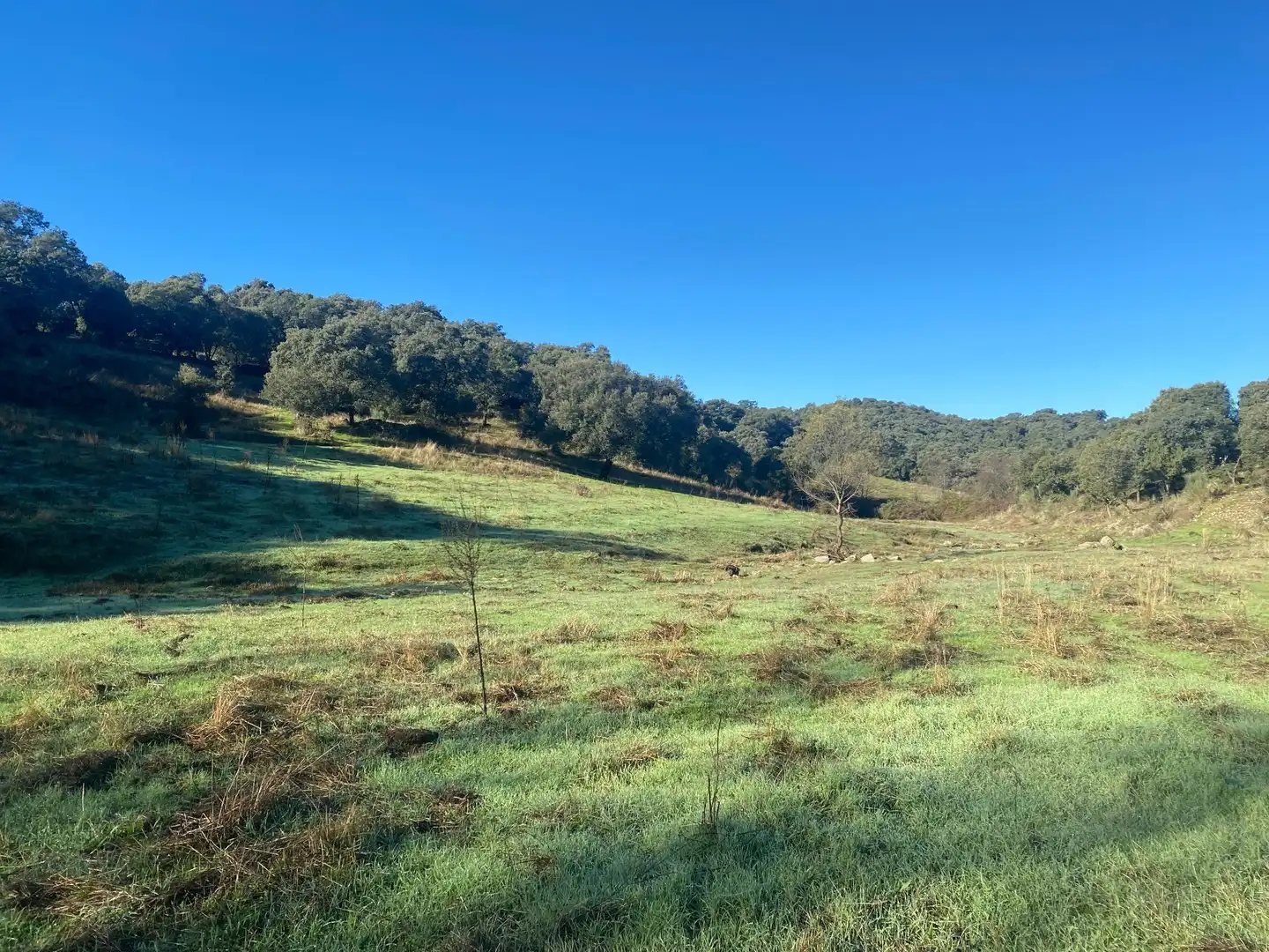 Country house zum Verkauf in El Real de San Vicente mit Klimaanlage, Heizung und Privatgarten