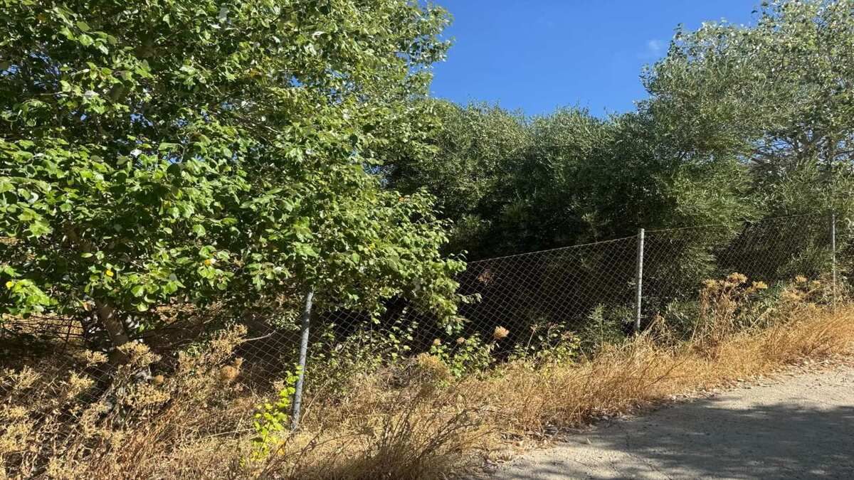 Residencial en venda en Algámitas