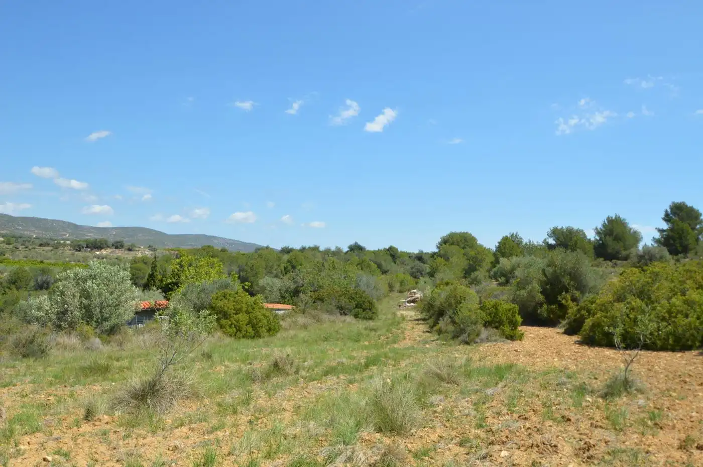 Terreno rustico in vendita a Carrer Malentivet, imagen 31