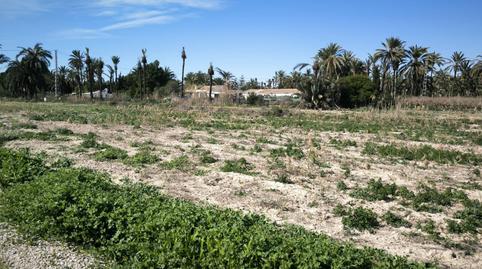 Foto 4 de Terreno en venta en Partida Daimés, La Foia - Daimés - Asprella, Elche / Elx
