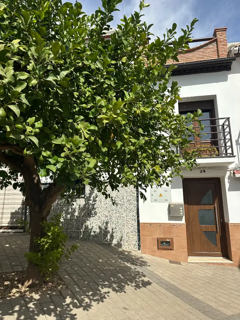 Casa in vendita a Calle Santa Ana