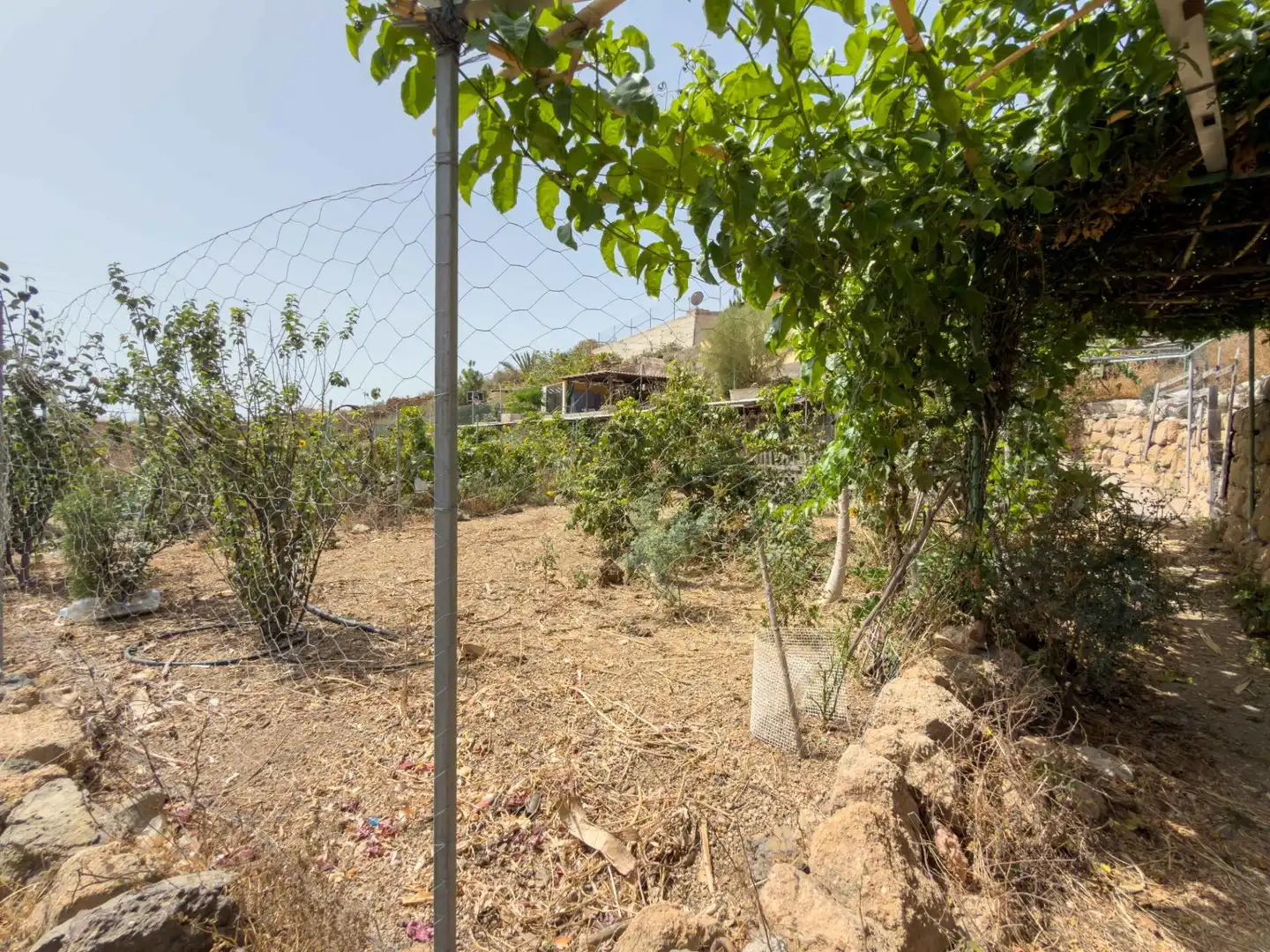 Finca rústica en venda en Güímar