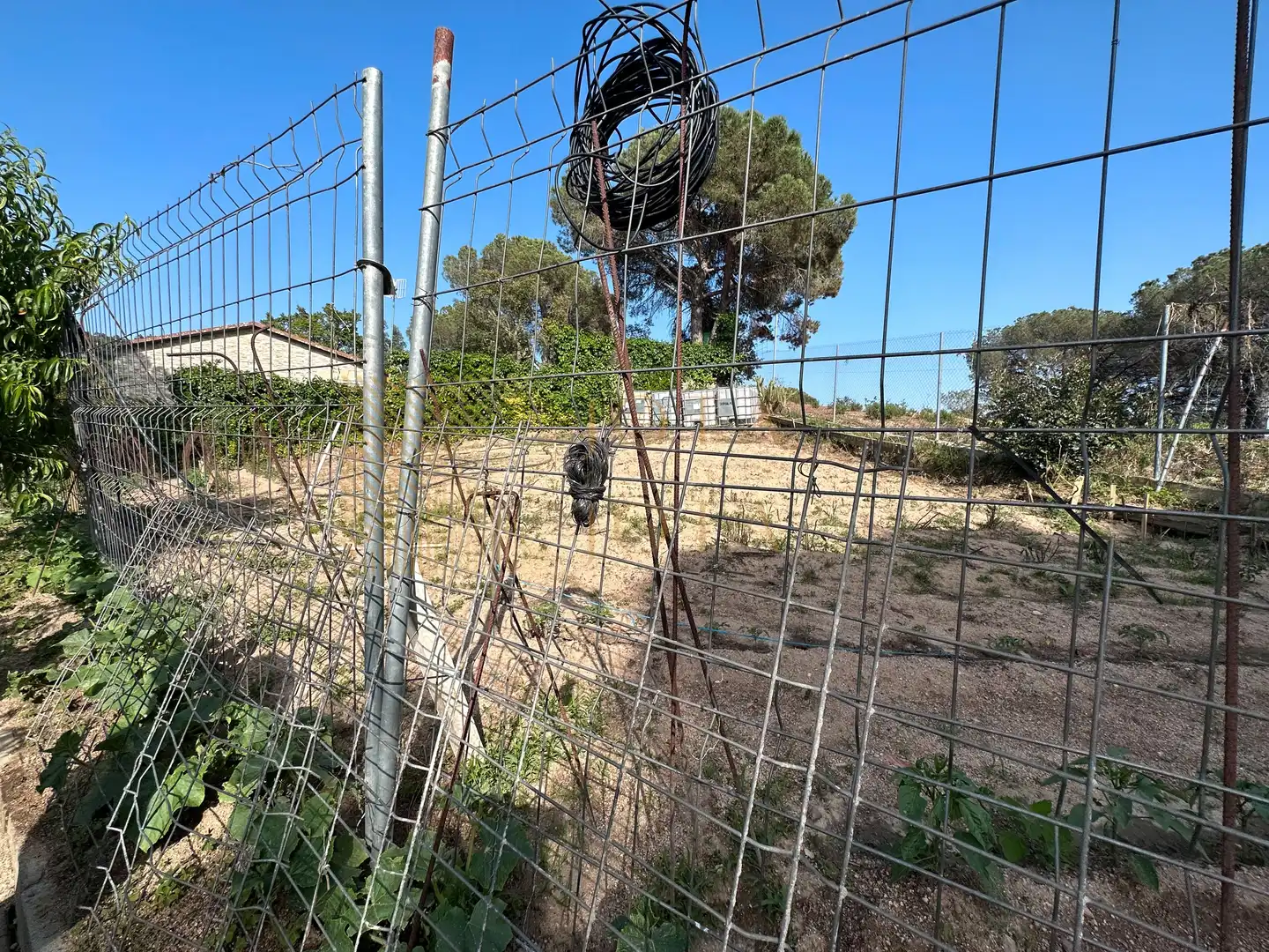 Wohnbaugrundstück zum Verkauf in Terrafortuna - Puig Ventós, imagen 3