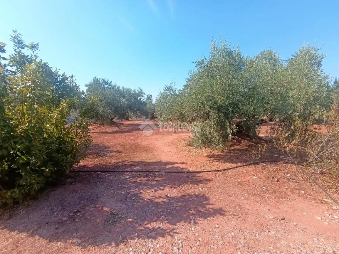 Finca rústica en venta en Vilches