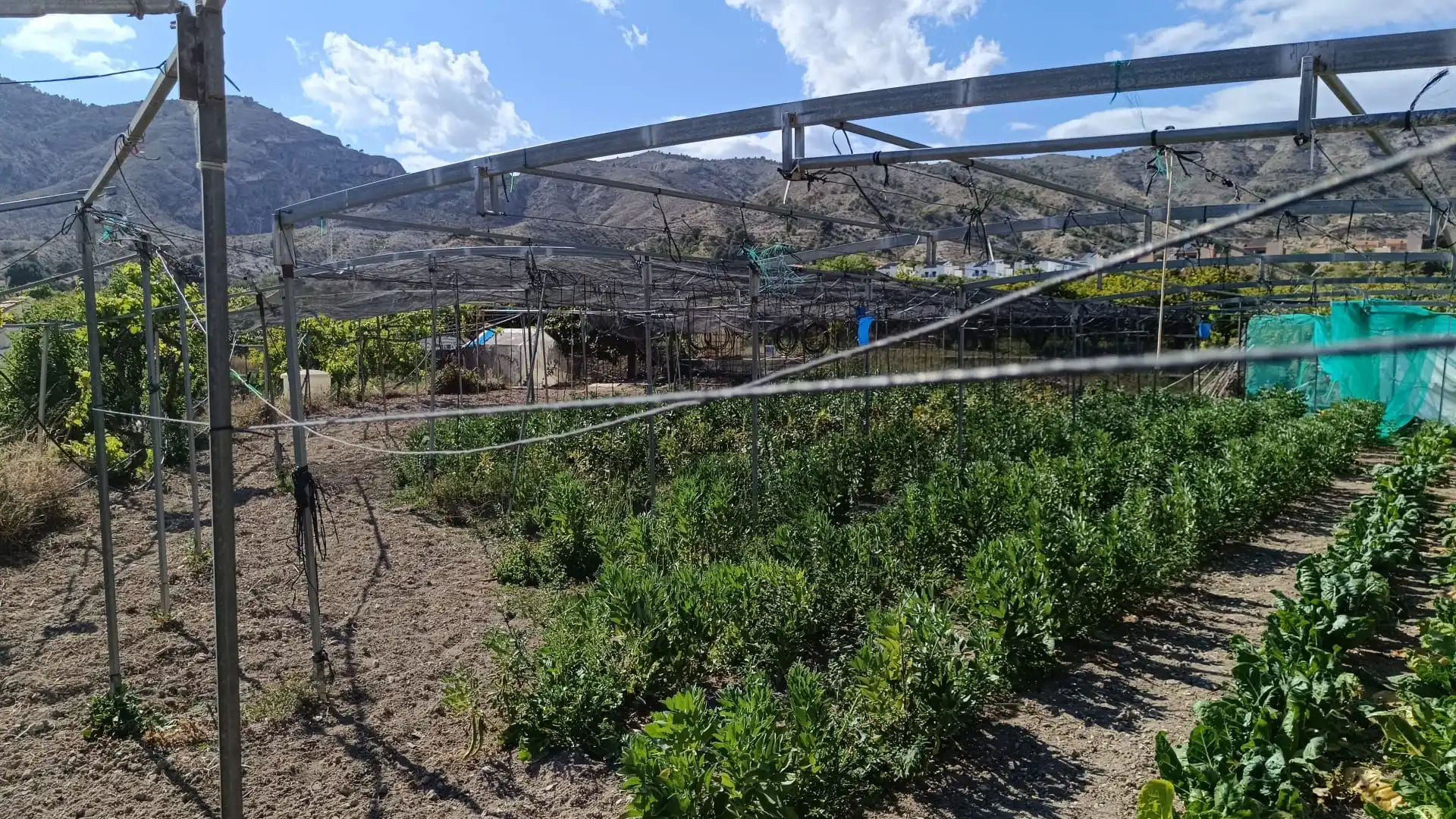 Terrenos y solares en venta en Orxeta, imagen 13