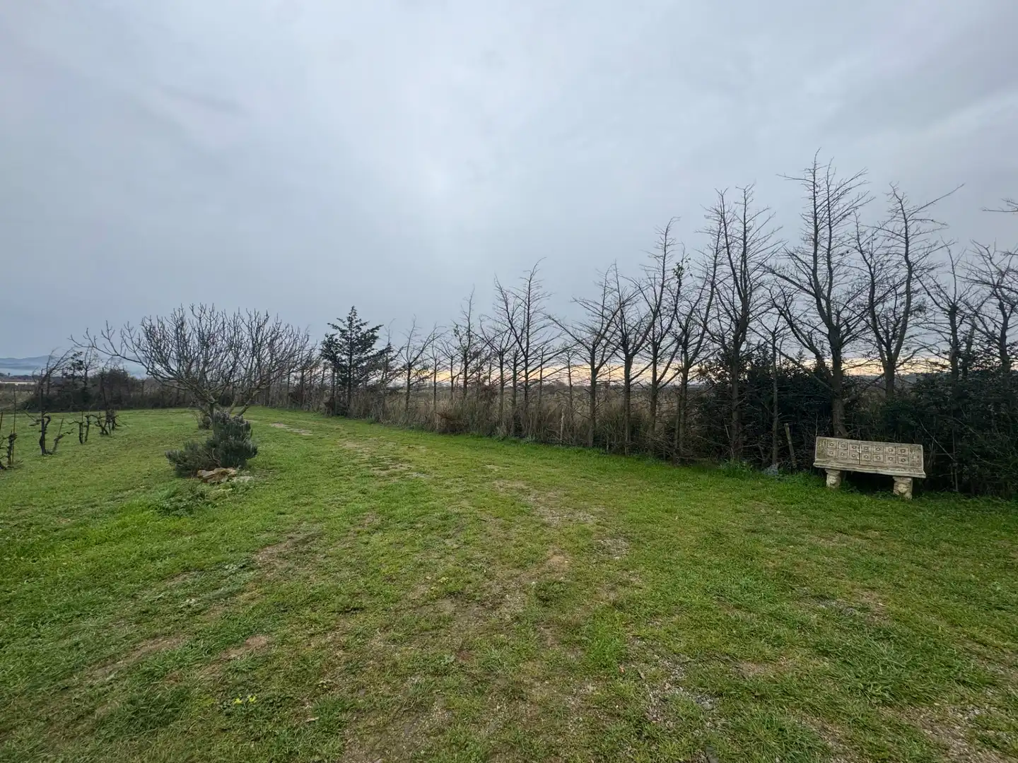 Land for sale in Garriguella