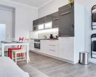 Cuina de Apartament de lloguer en Alicante / Alacant amb Moblat i Es permeten mascotes