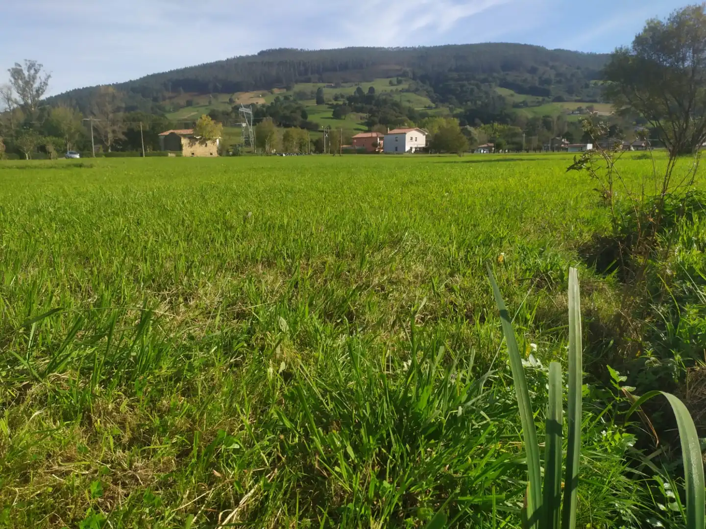 Rustikales Grundstück zum Verkauf in Santa María de Cayón