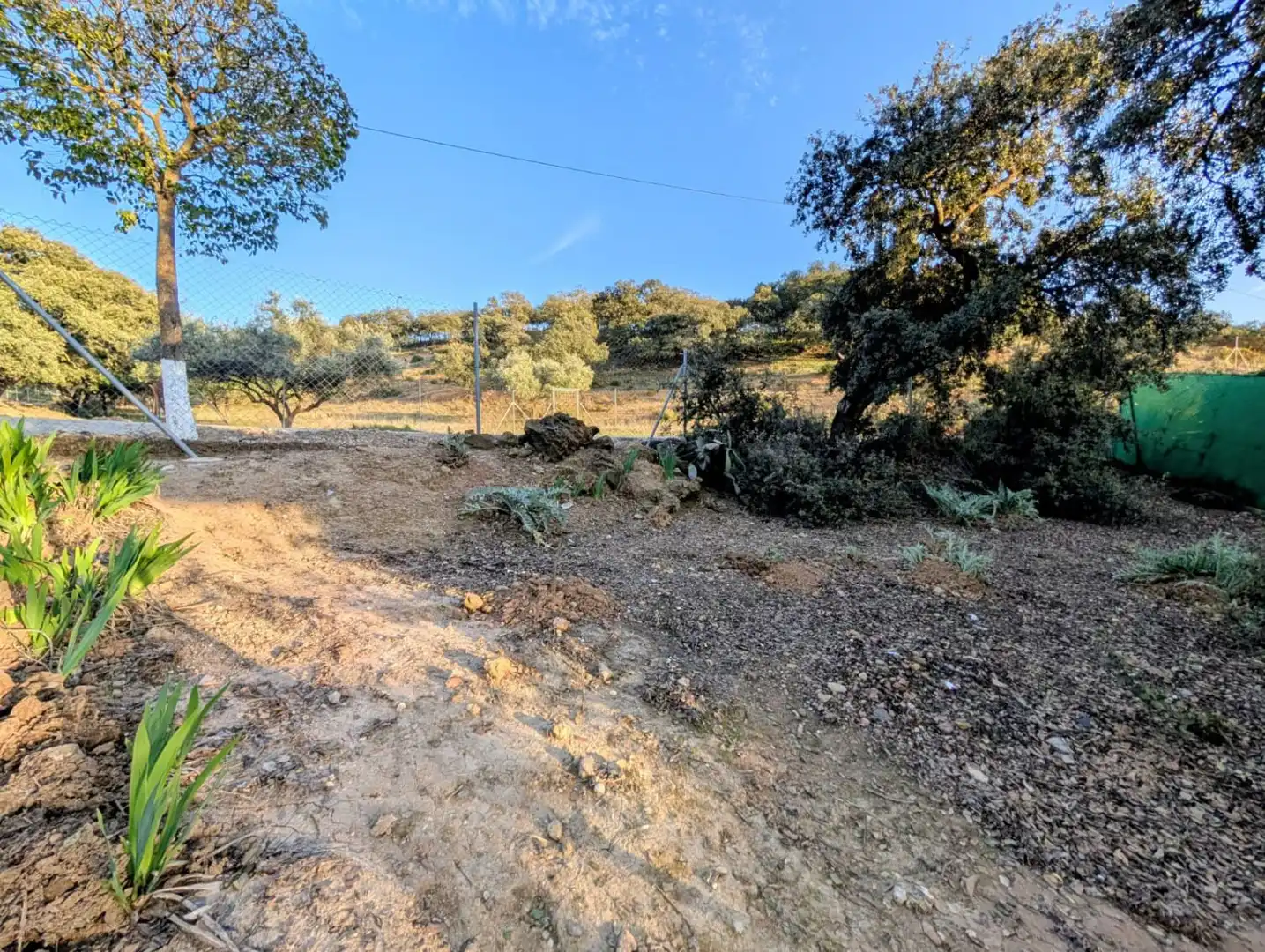 Finca rústica en venda en Loja amb Terrassa