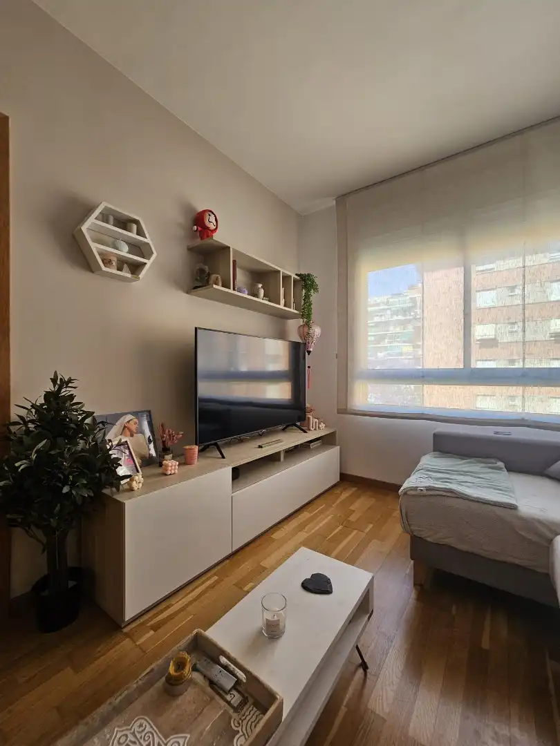 Sala de estar de Piso en venta en Barcelona con Parquet, Amueblado y Horno