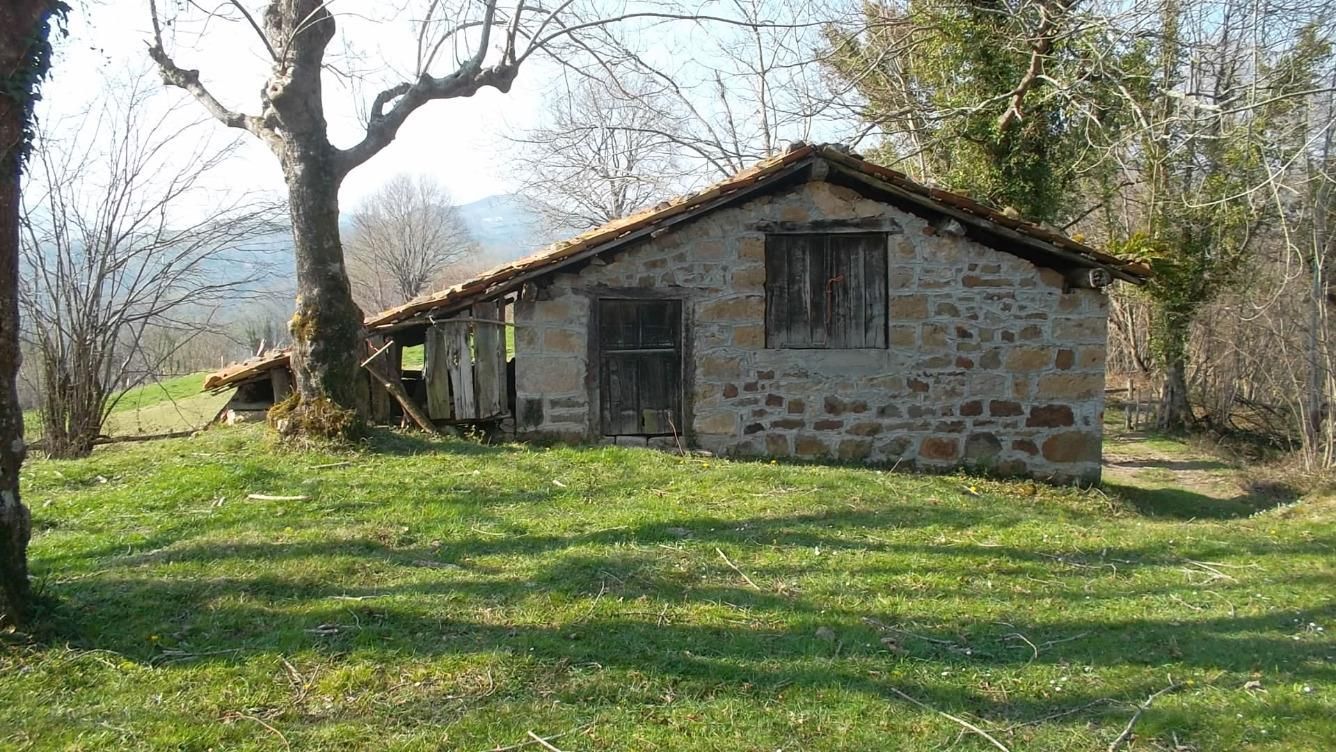 Vista exterior de Casa o chalet en venta en Parres