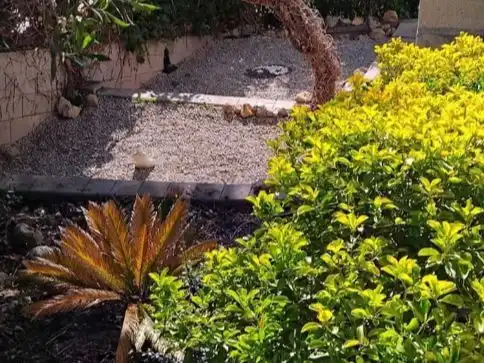 Garden of Houses for share in Olivella, Barcelona