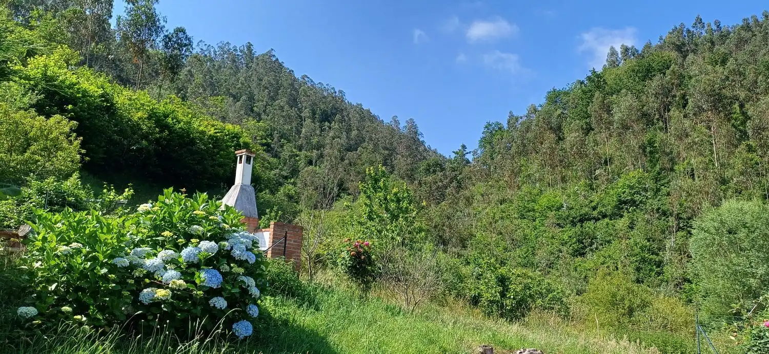 Casa o xalet en venda a Colunga