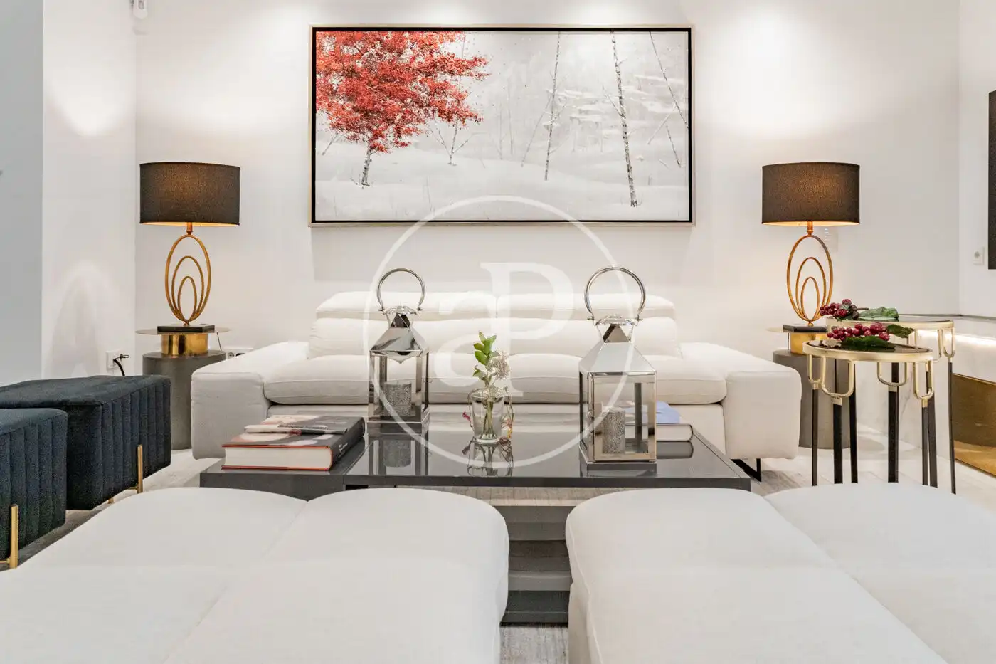 Sala de estar de Piso en venta en Madrid con Aire acondicionado, Calefacción y Jardín privado