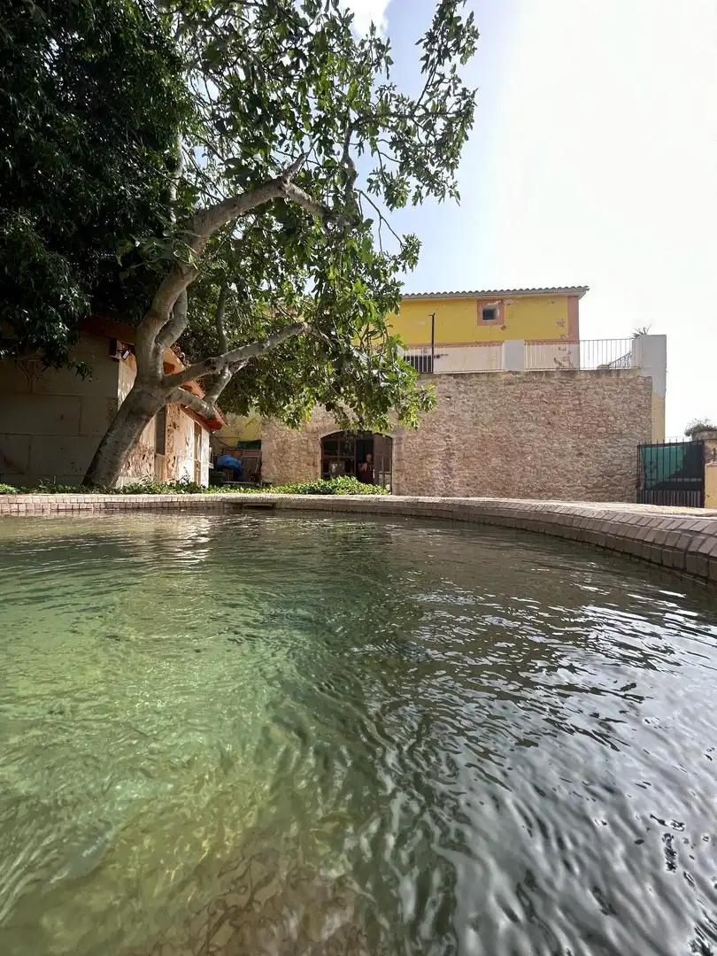 Piscina de Casa o xalet de lloguer en Nord