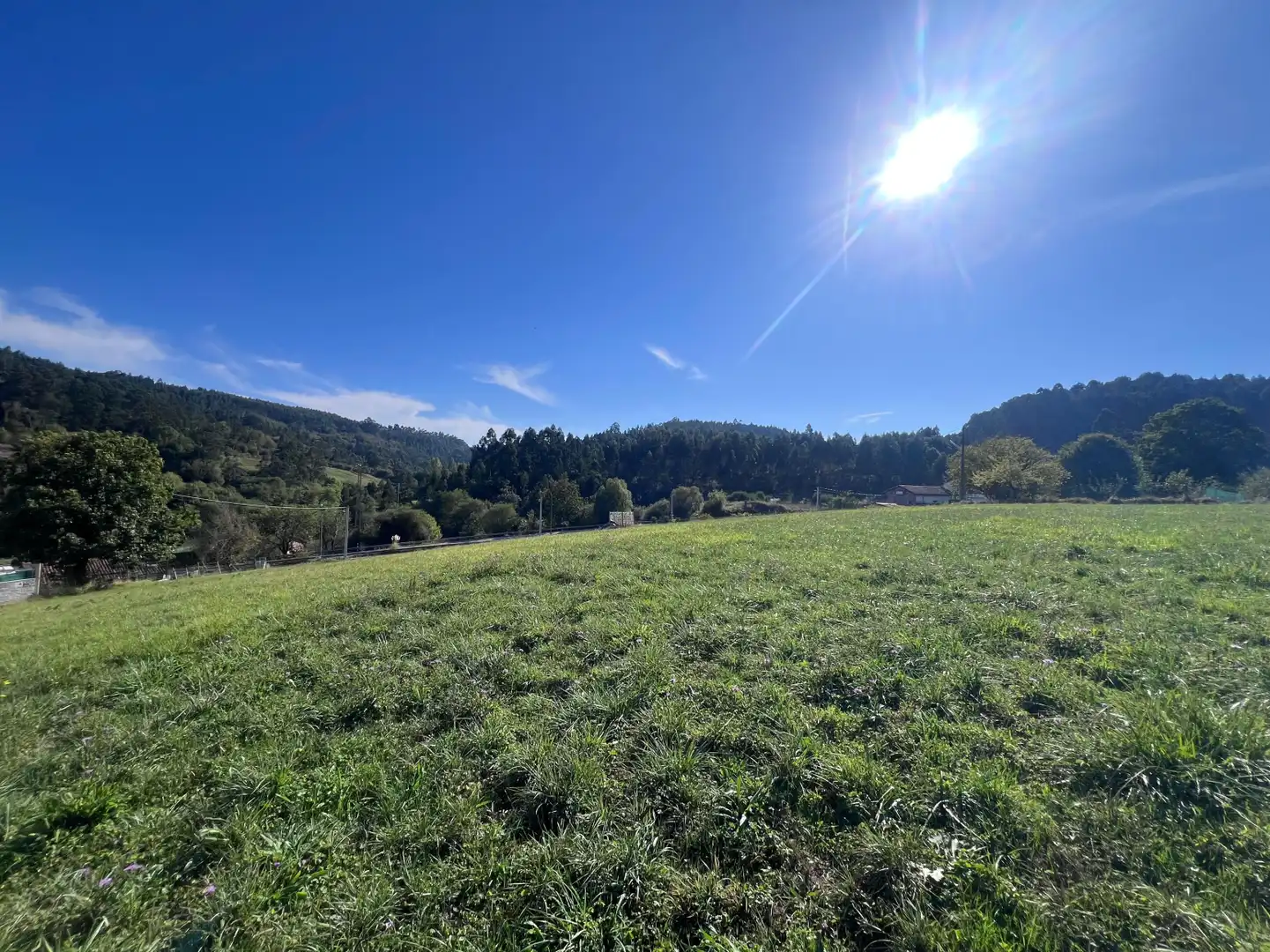 Lands and plots for sale in Soto del Barco - Carretera N-632 11