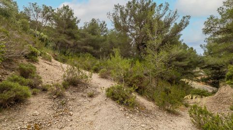 Impresionante parcela cerca de la playa en venta en Canyamel, Mallorca Este, imatge 4