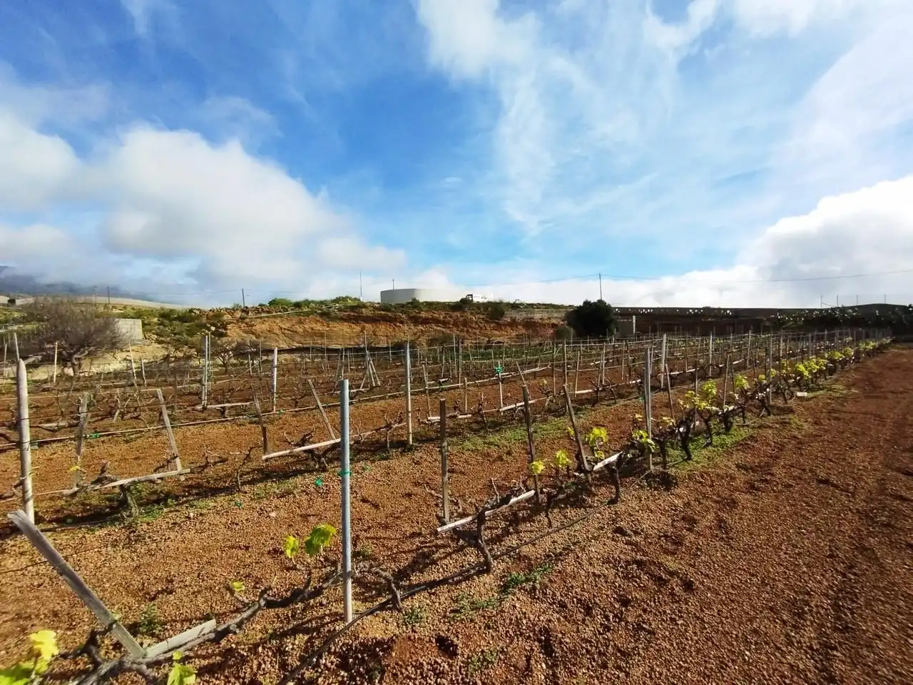 Terreno rustico in vendita a Arico, imagen 20