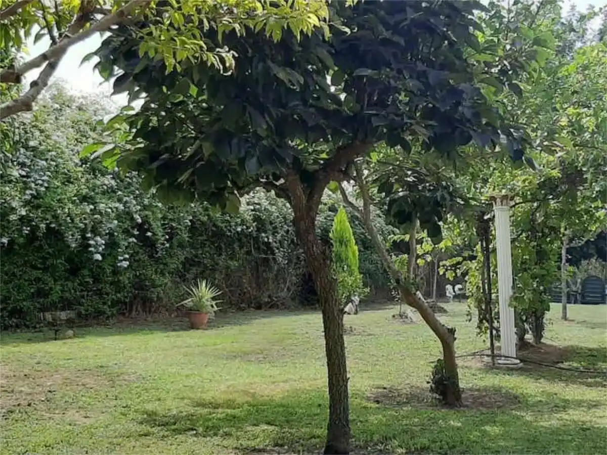 Jardí de Casa adosada en venda en Pedralba amb Jardí privat, Terrassa i Traster