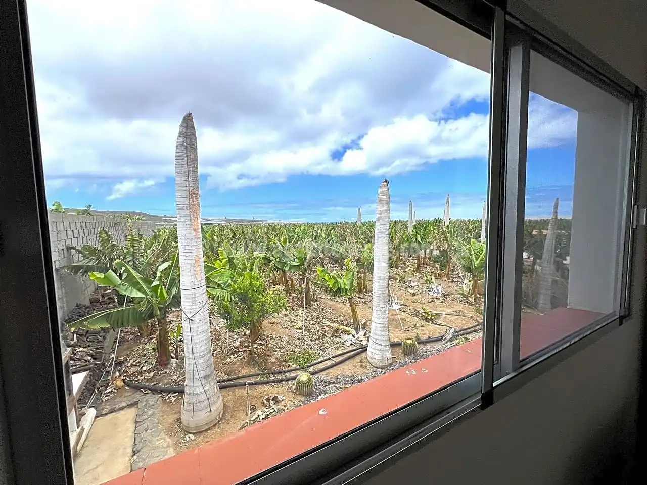 Vista exterior de Finca rústica en venta en Los Silos con Jardín privado y Terraza