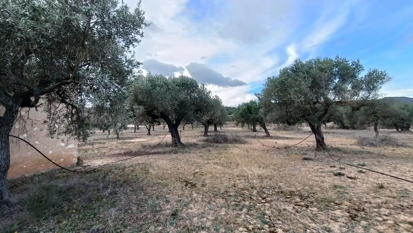 Terrain rustique à vendre à Rasquera, imagen 11